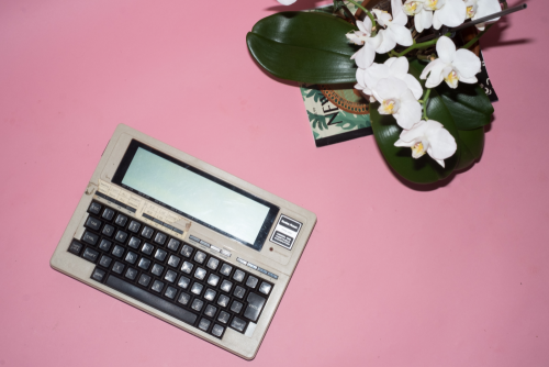 Radioshack TRS-80 on a pink background next to flowers